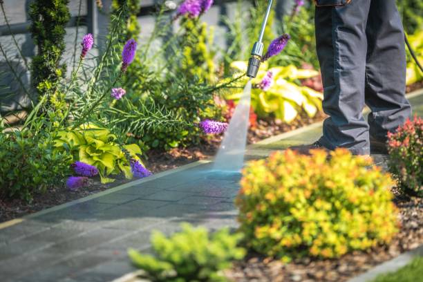 Spring Cleaning in Highland Lakes, AL